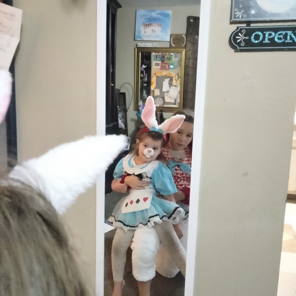 Alice in wonderland costume - Picture 6 of 8